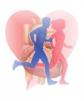 /album/fotogaleria/a13-jpg/